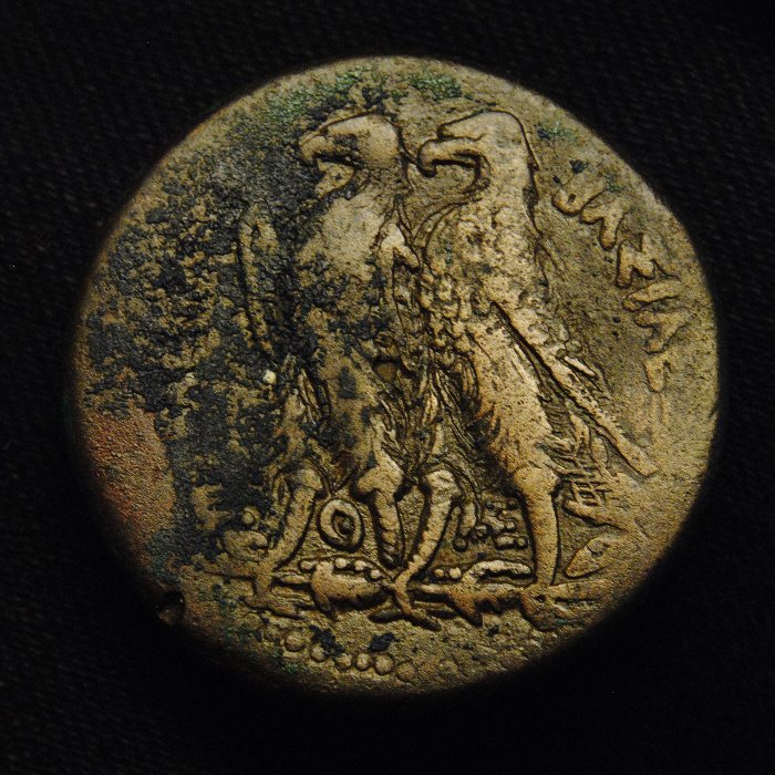 �42--Ptolemy-II-Philadelphus